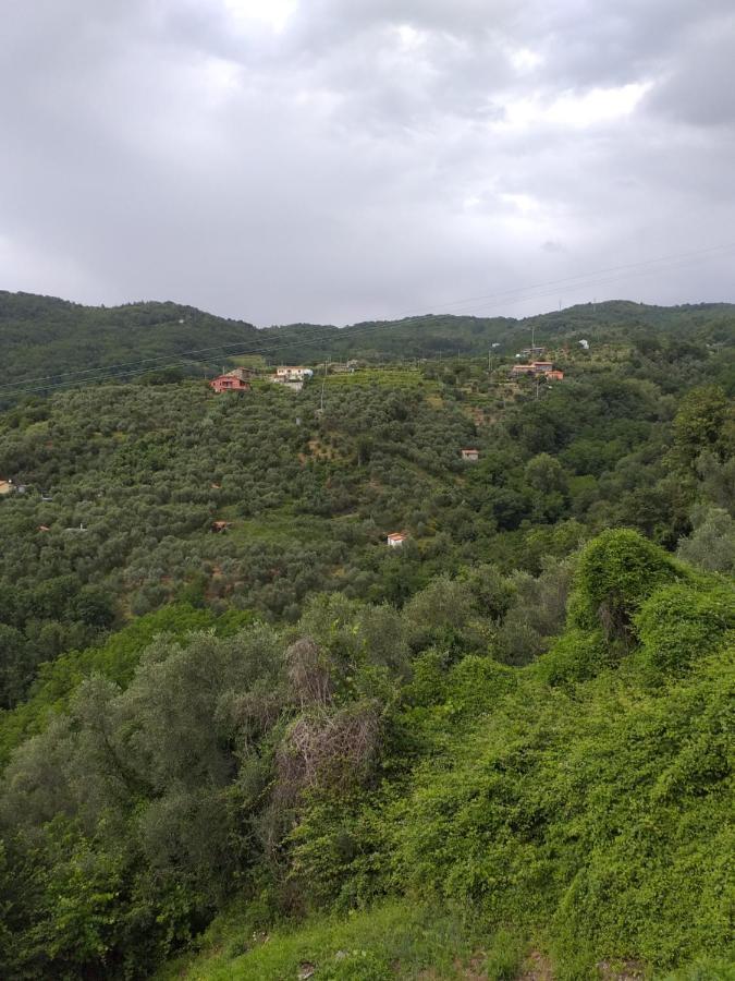 Casa Di Vecchio Borgo Villa Sarzana Exteriör bild